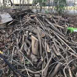 Free. Fire. Wood.     Take.  It All. 