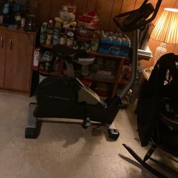 2000s Bike Peddling Workin Out Machine 