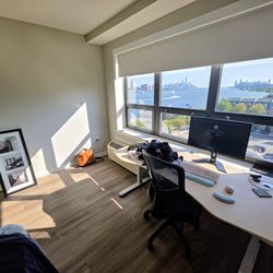 Costco ApexDesk
ApexDesk Elite Series 71” x 33” Height Adjustable Desk