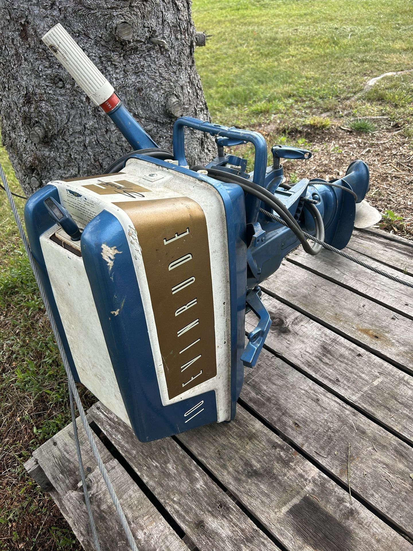 Even rude 50Th Anniversary