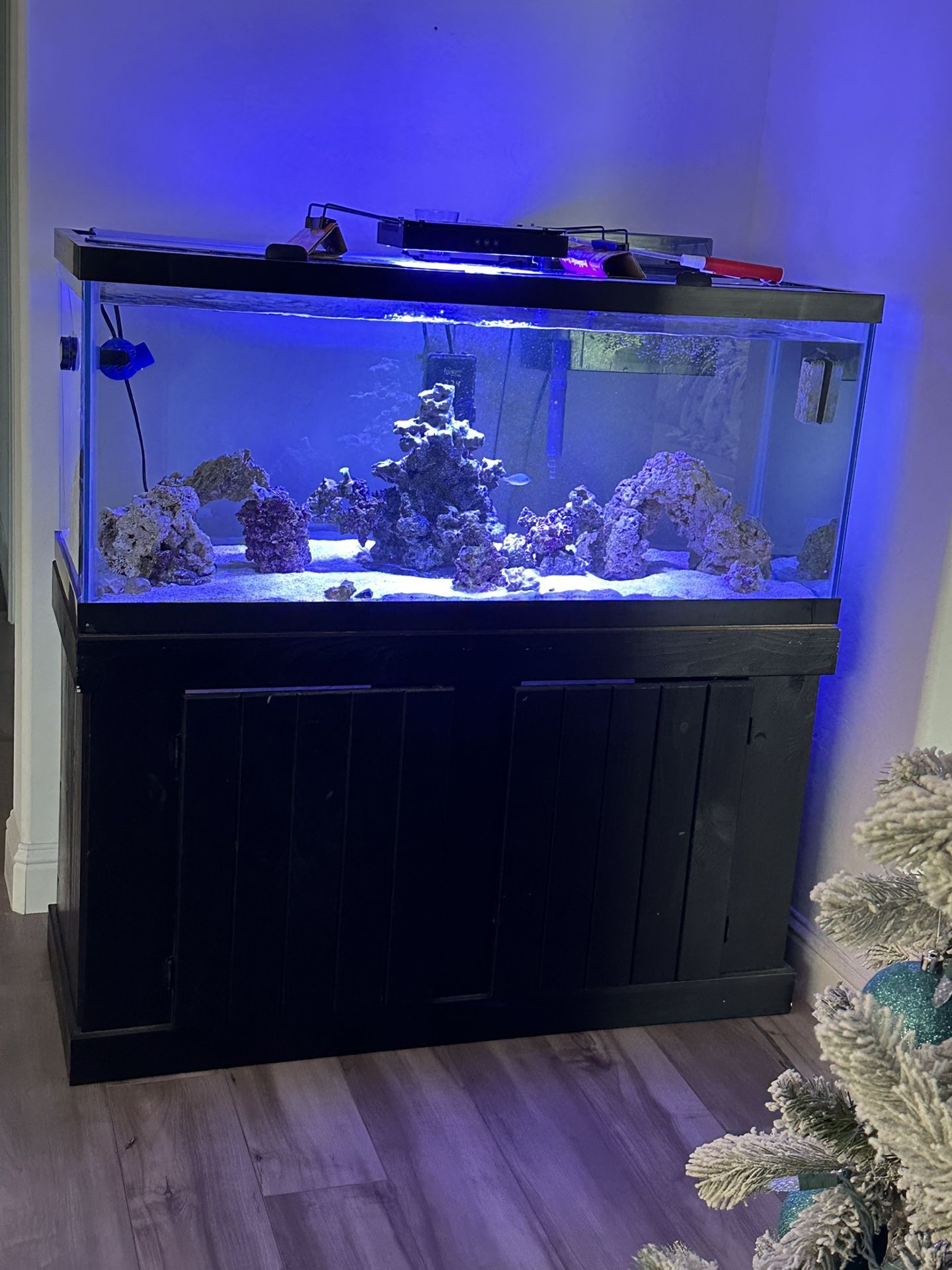 Reef Aquarium