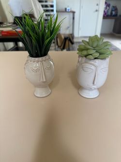 Free artificial plants with faces