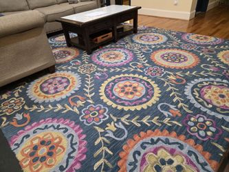 Large Wool Area Rug 10 X 15