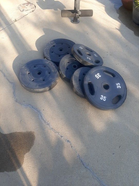 Workout bench with weights and bar..