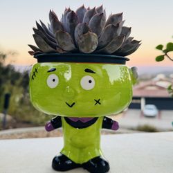 💚 💚 💚  Halloween Planter w Large Succulent 🪴 👻 