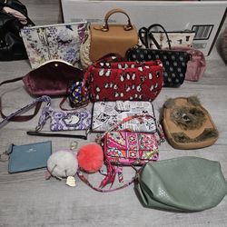 Disney Loungefly/Vera Bradley/Dooney Bourke/Coach/Disney Parks  Purse And Accesory Lot