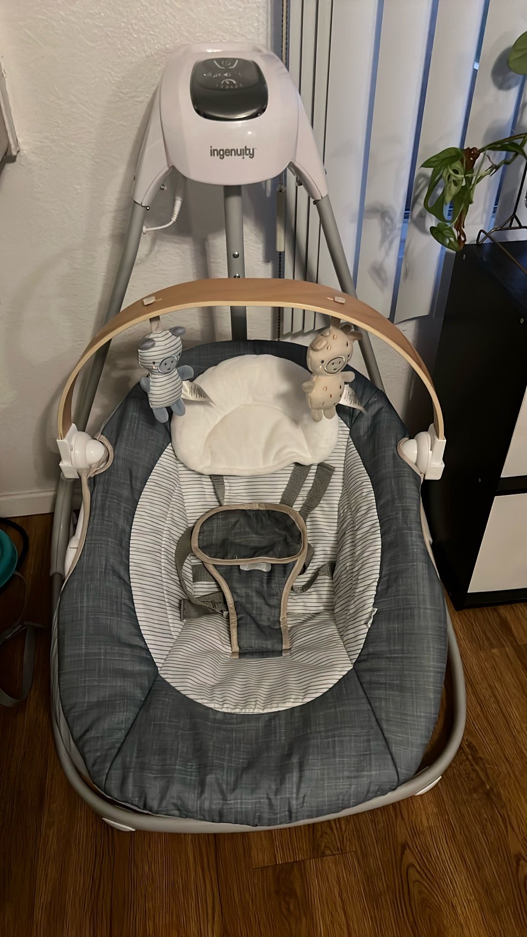 Ingenuity Unisex Swing