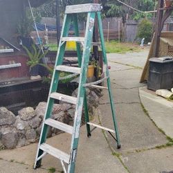 6 Ft Husky Fiberglass Ladder