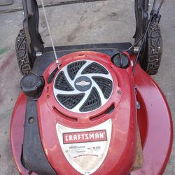 Craftsman  650 Series Gold Edition 22" Cut.