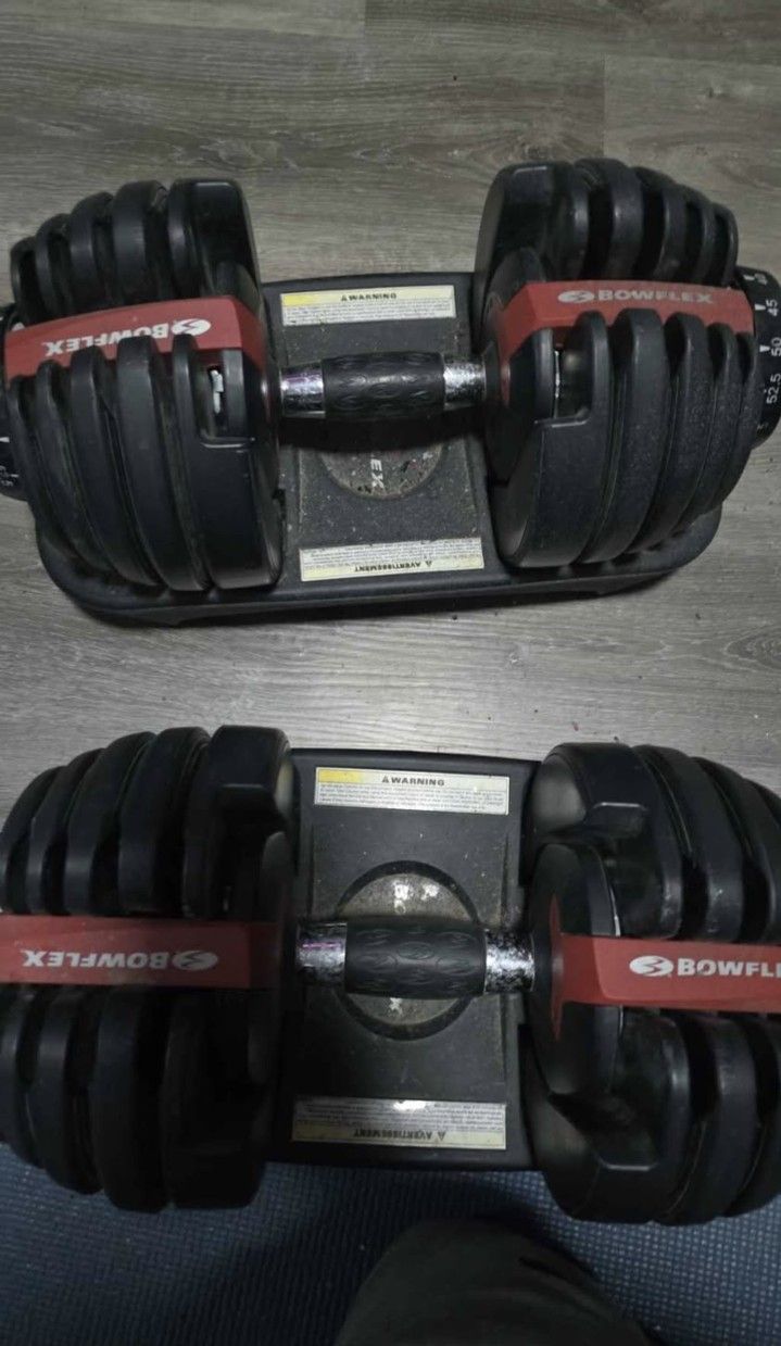 Bowflex Adjustable 552 Weights