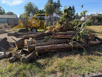 FIREWOOD FREE APPLE CHERRY WALNUT . Easy access