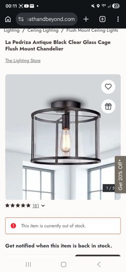 Clear glass cage flushmount