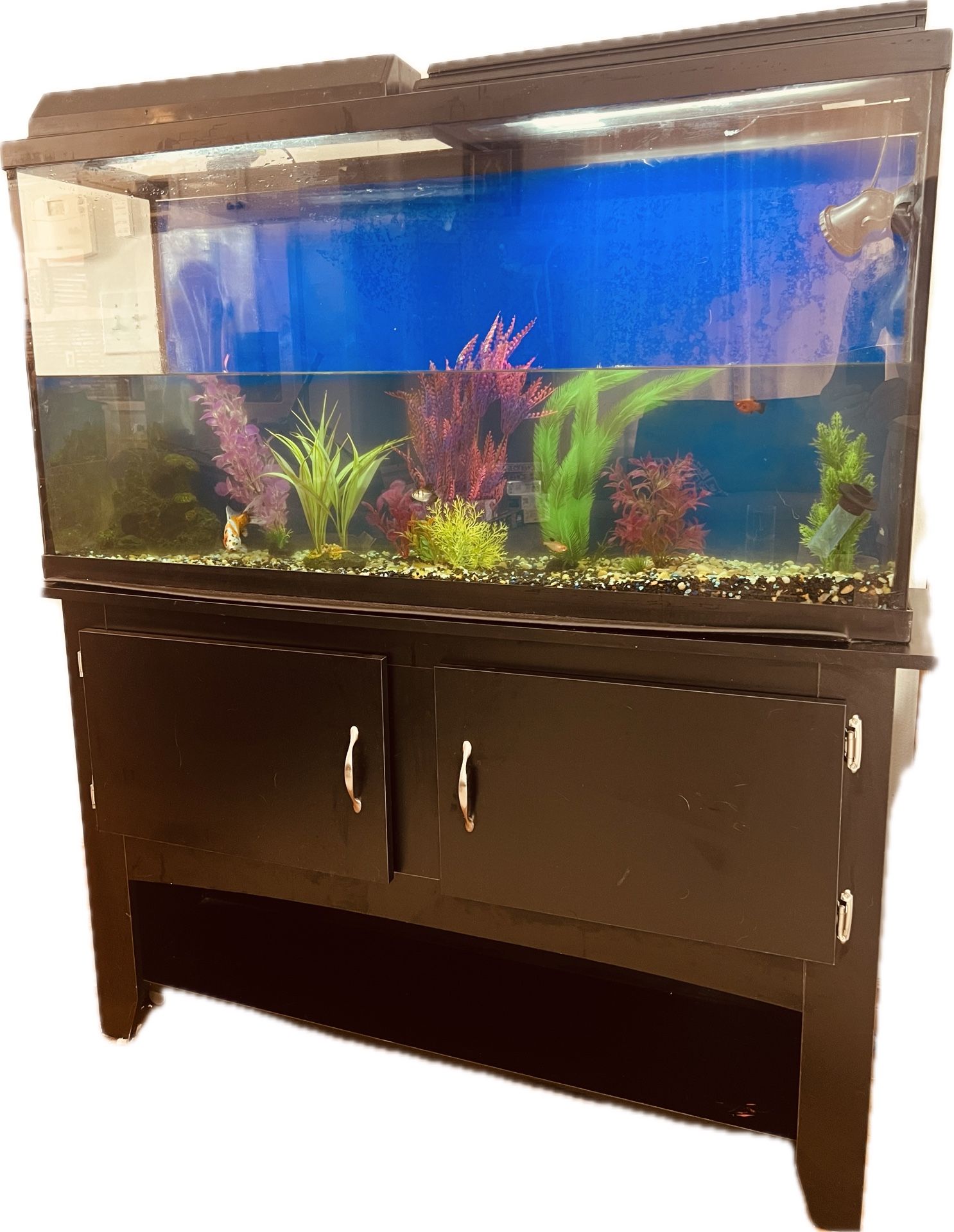 π Fish Tank Set for Sale! π Complete Aquarium Package β Everything You Need! π  π 1x4x2 ft Tank with Stand + Accessories πͺ΄ Includes fish food, wat