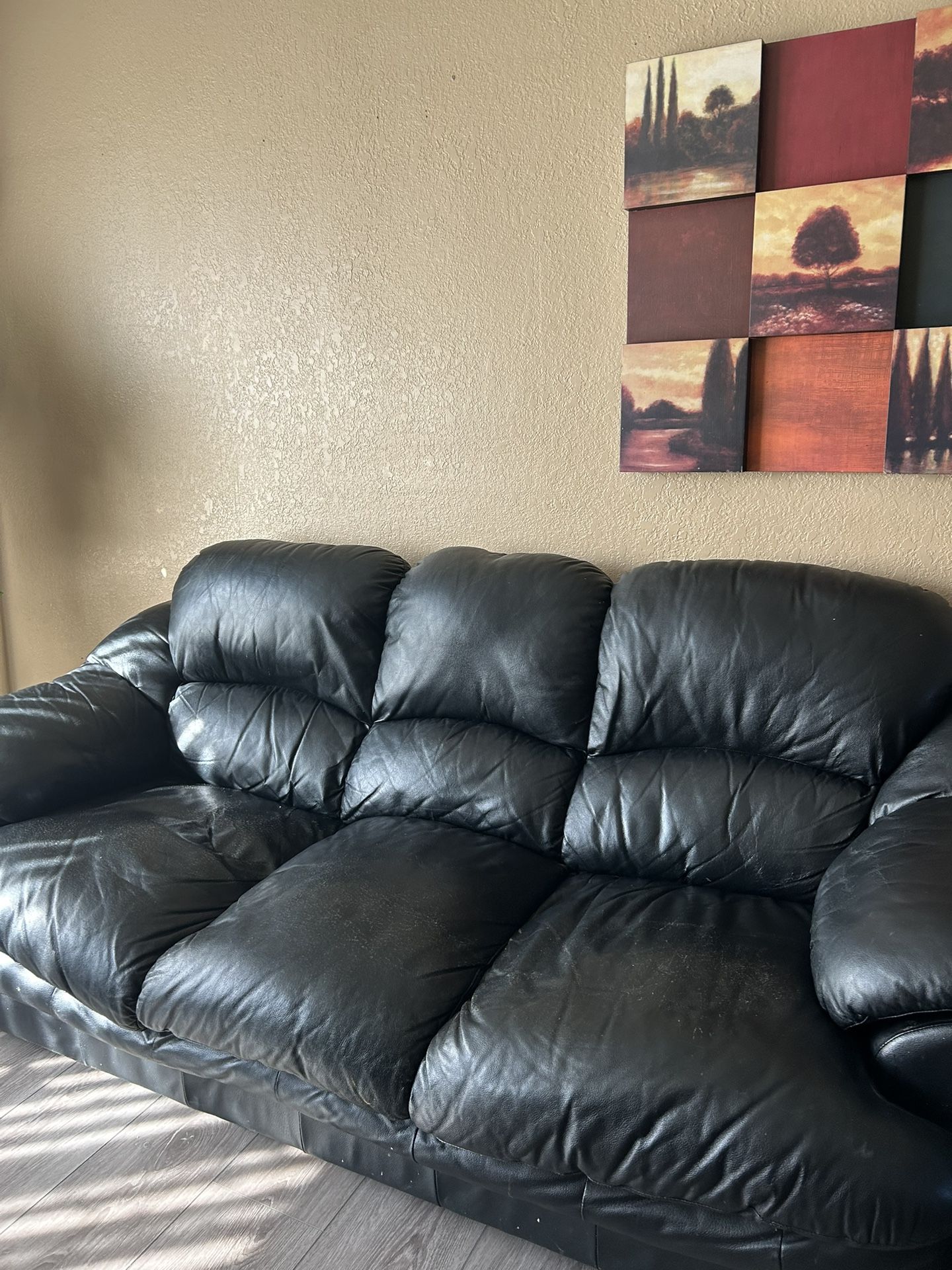 Leather Couches