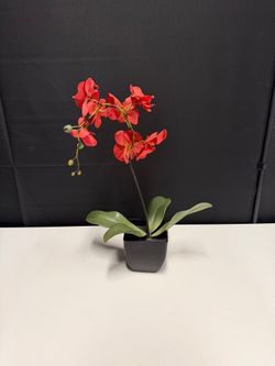 Kohl's Red Artificial Orchid Plant in a Black Pot