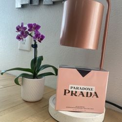 $65 Prada Parodoxe Brand New 