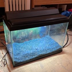 20 Gallon Rectangular Fish Tank