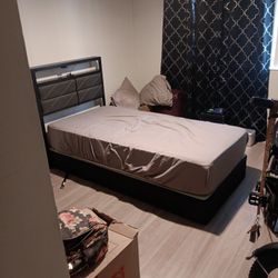 Twin Bed Eith Frame And Screws To Put Together