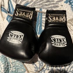 Cleto Reyes Boxing Gloves