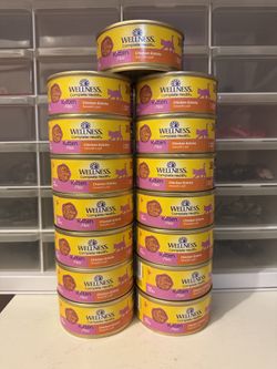 Wellness Kitten Food 