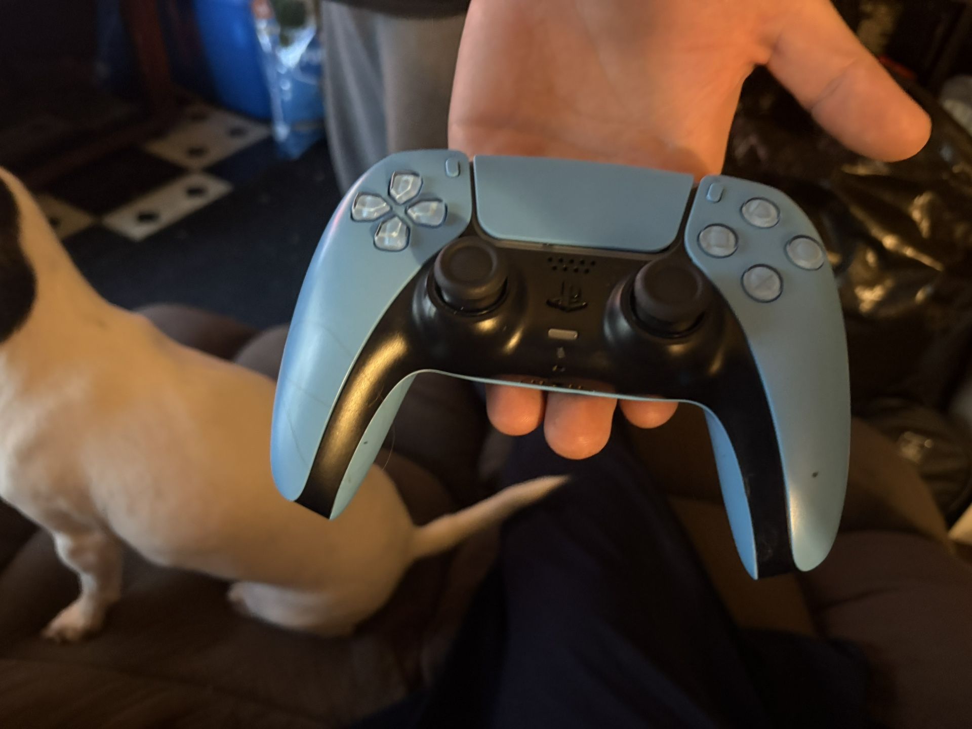 PlayStation 5 Controller