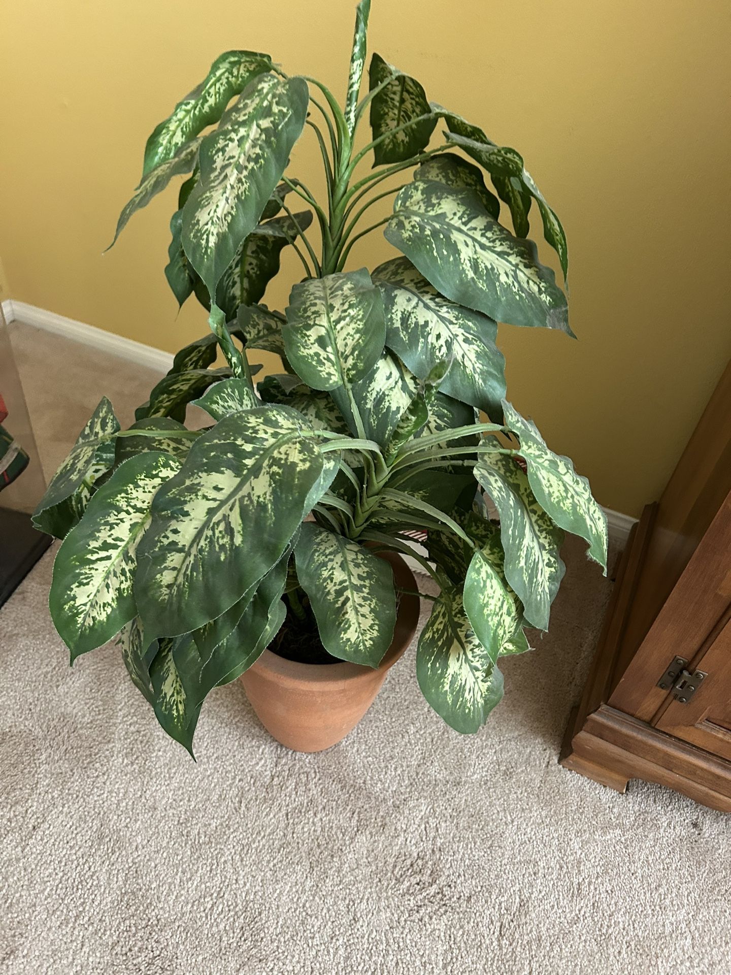 Fake Plant