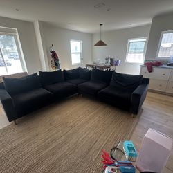 Article Couch