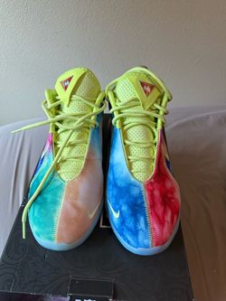 Nike LeBron xxii wtm