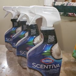 Clorox Disinfecting And Multisurface Cleanser 