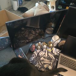 Use able But Broken Monitor