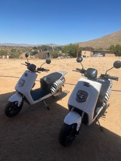 2 Zebra Electric Scooters