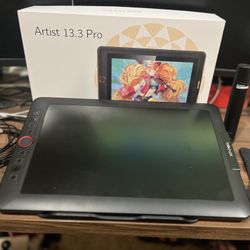 ARTIST 13.3 - $100