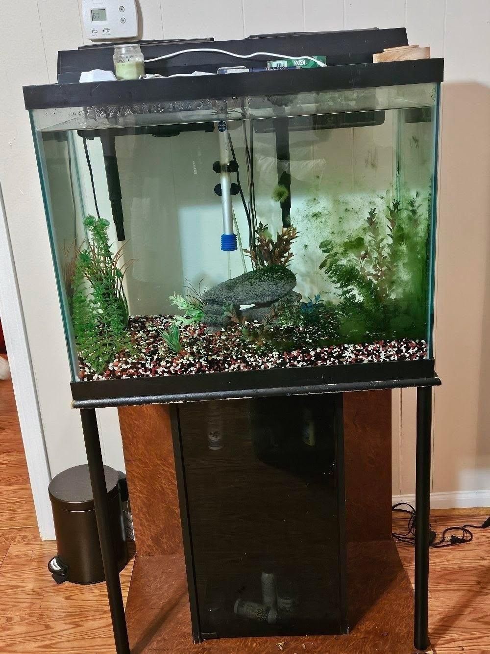 Fish Tank