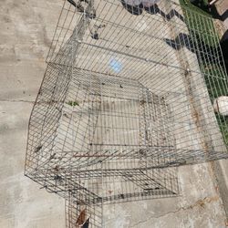 Chicken Cage