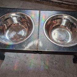 Lifted Dog Bowls