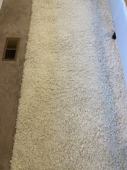 Area Rug
