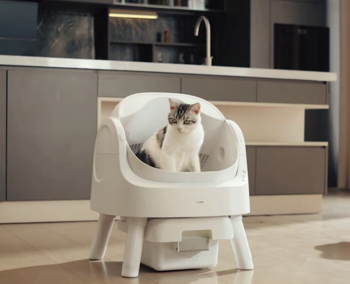 Automatic Kitty Cleaner