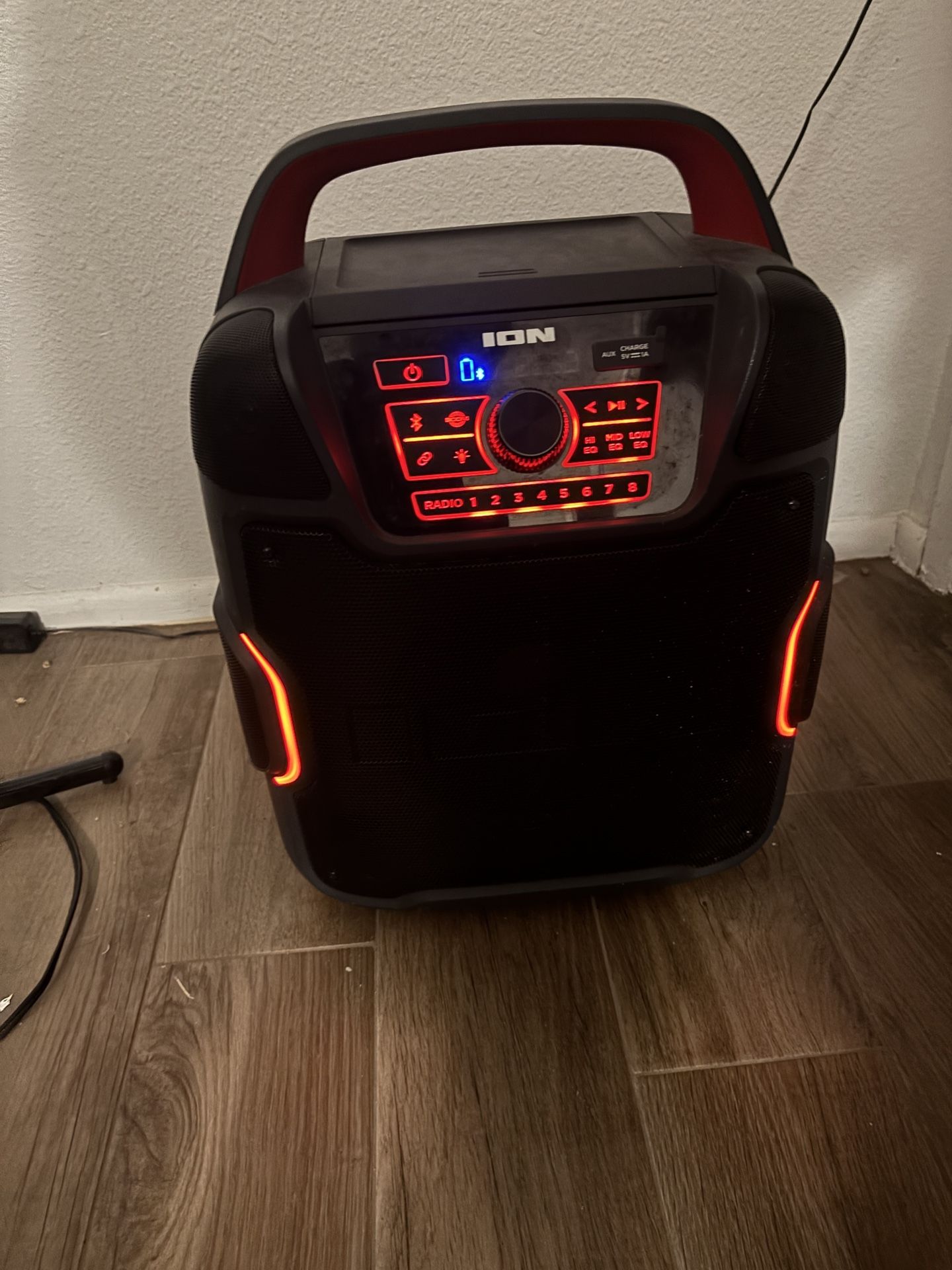 ION pathfinder speaker