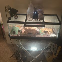 Lizard Tank For Sell