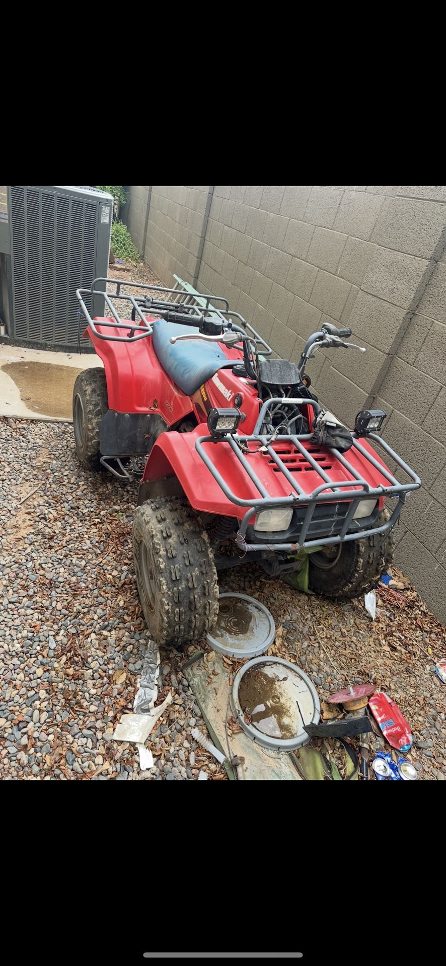 Kawasaki Bayou 220