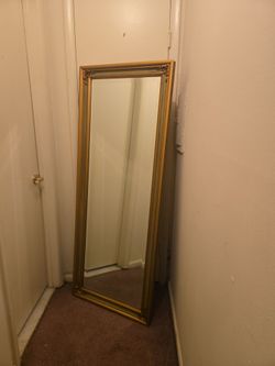 20x65 inch framed mirror