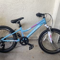 Schwinn kids 20” bike