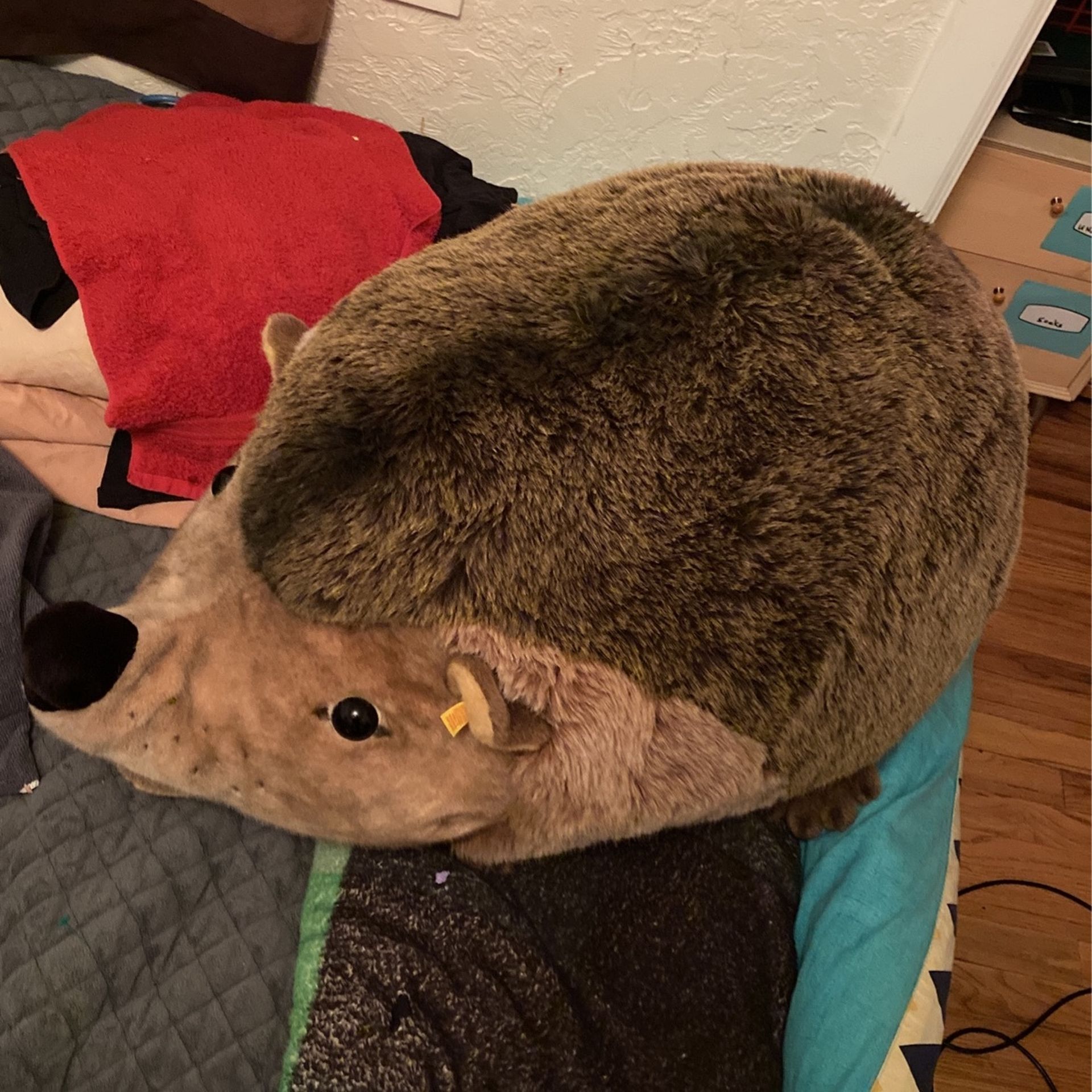 Giant Steiff Hedgehog 70cm/27.5in