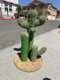 2’ Tall Desert Cactus Cat Scratching-post - With Ball!