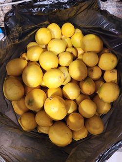Limes & Lemos