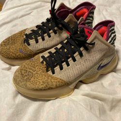 Lebron 19’s Low Safaris Used