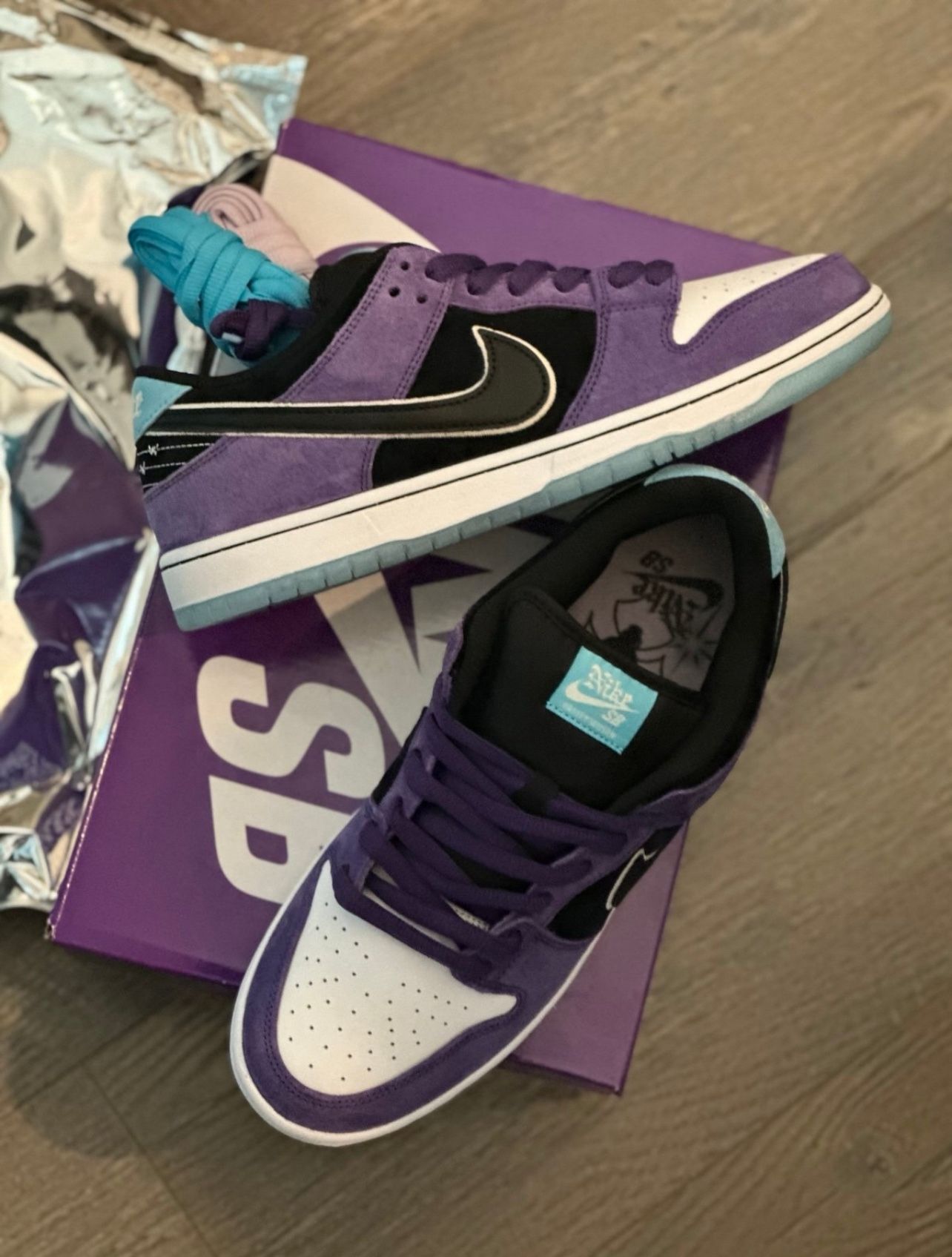 Brand New Hayley Wilson Nike SB SZ 10.5