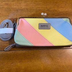 Color Block Wallet/Clutch