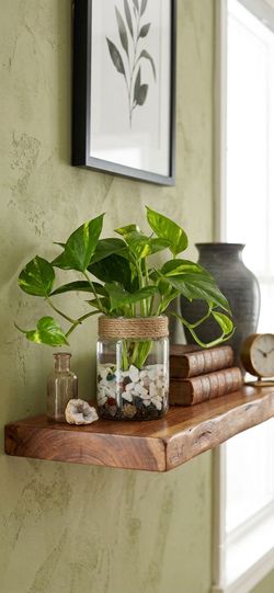 🌿 Boho Rustic Pothos Plant in Glass Bottle | Handmade Water Propagation Decor