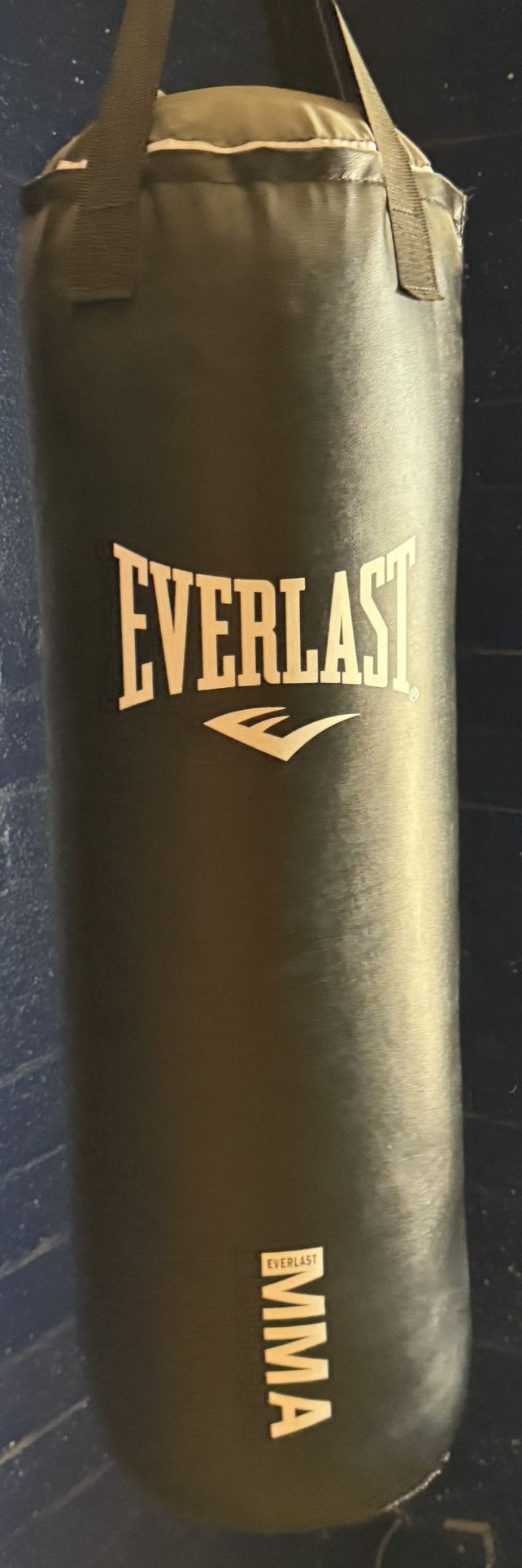 Everlast 70lb MMA punching Bag
